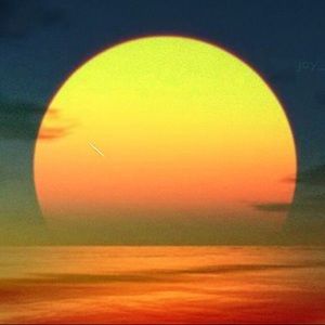 Meet your Posher, Noelia